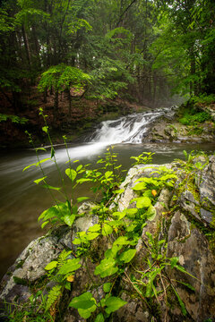 Long exposure waterfall flows through a lush green forest