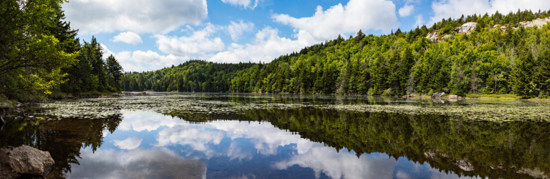 Calm Lake Solitude reflecting a green forest and blue sky