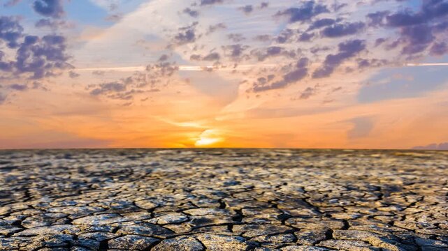 saline dry land in a crack at the sunset time lapse scene