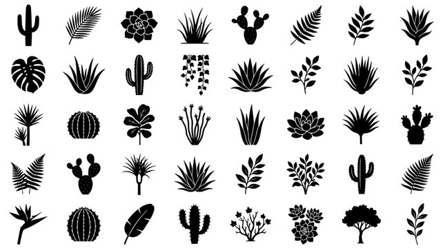 Plants illustration set with various cacti and succulents in black and white featuring botanical, nature, flora with cactus and agave elements for