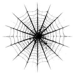 Obraz premium An intricate black spiderweb is isolated on a white background.
