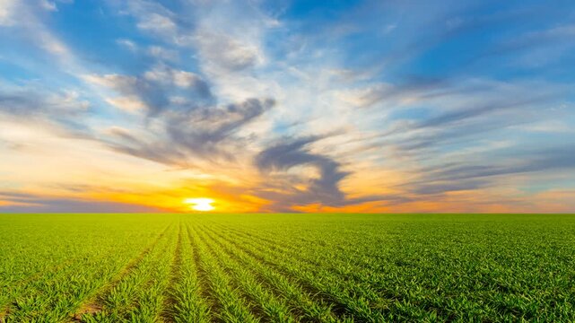 green rural fields at the dramatic sunset time lapse scene