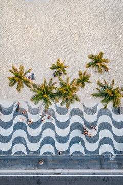 Aerial view of walkway and palm trees, Copacabana beach, Rio de Janeiro, Brazil