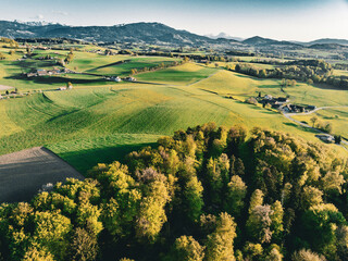 Obraz premium Aerial view of lush green meadows and forested slopes in Fribourg canton, Switzerland