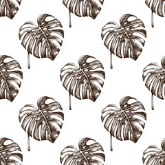Hand drawn vintage seamless pattern of tropical monstera leaves botanical engraved illustration decorative foliage design © Mariia Mazaeva