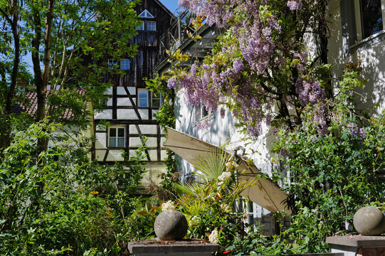 Konstanz, Hinterhof in der Altstadt mit Garten