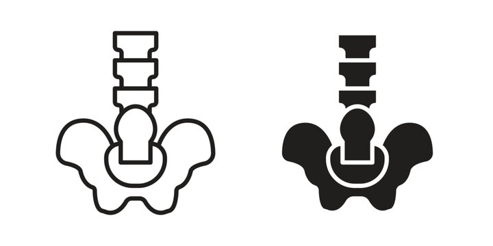 Pelvic area icon collection. Vector icon illustrated