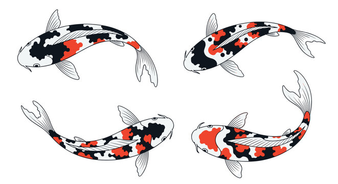 Four colorful koi fish with distinctive red and black patterns are seen from above swimming in a circular arrangement in a pond.