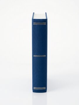 Blue Book with Gold Stripes on Spine