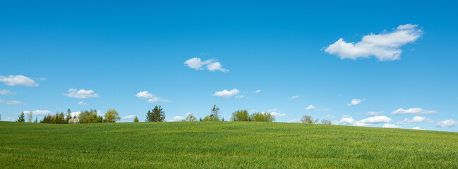 Landscape 2  © Jacek