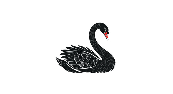 Elegant black swan illustration with a red beak and detailed feathered texture swimming on a clean white background.