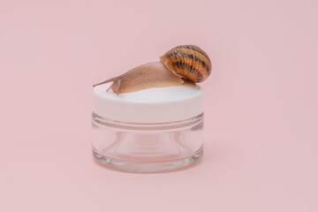 Cosmetics bottle with snail on it. Mockup for brand. Skin care, spa, luxury cosmetic, natural beauty product © Antonio