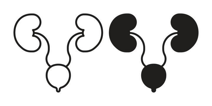 Urology icon collection. Vector icon illustrated