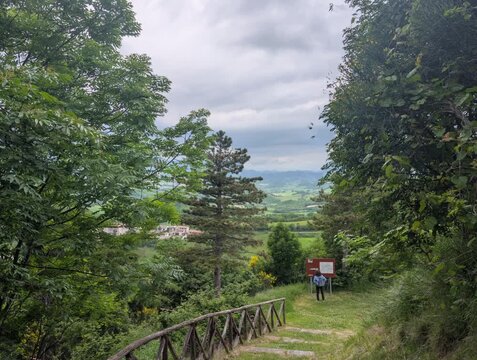 Sentiero erboso immerso nel bosco che scende verso una valle panoramica, con vista su campi e colline sotto un cielo nuvoloso. 
