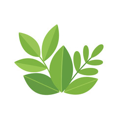 Fototapeta premium Green leaves on white background for nature and ecology designs