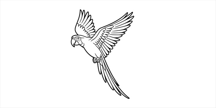 Black and white line art drawing of a beautiful tropical macaw parrot flying with spread wings for coloring book page or creative design projects Vector, illustration