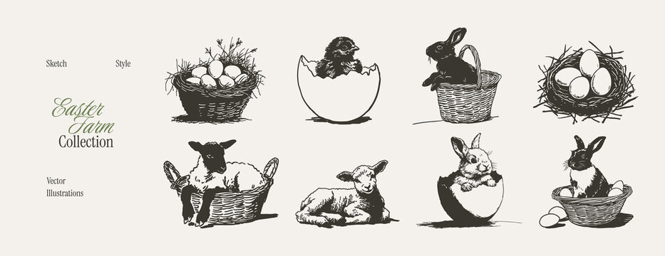 Easter farm animals eggs baskets rabbit chick sketches. Illustrations for holiday cards and seasonal packaging. Pencil sketch style with rustic hand drawn hatch lines.