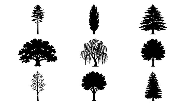 Trees set with various styles and shapes including coniferous and deciduous types featuring nature, forest, black with white and silhouette elements