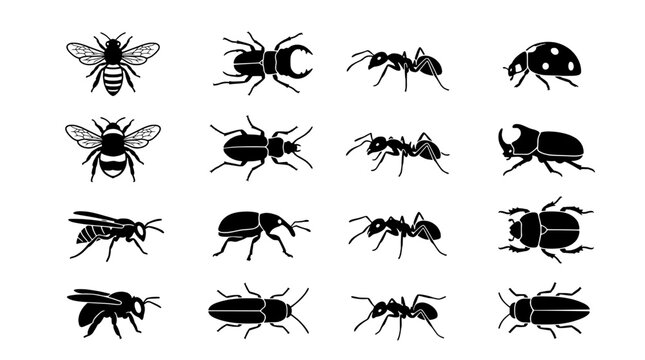 Insects black silhouette set with beetles, bugs, and flies on white background featuring vector icons, bug collection, creepy crawlies with