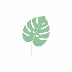 Minimalist monstera leaf vector illustration, tropical green foliage icon, botanical plant element for summer branding and interior design © Rafiul2007