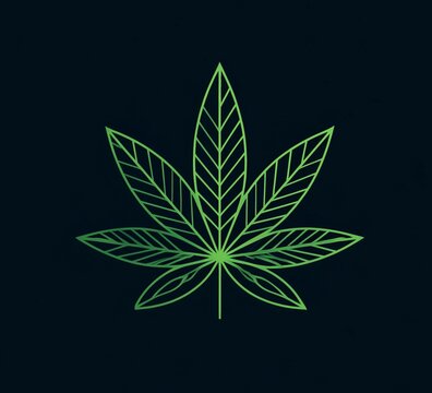 Detailed Leaf Illustration in Studio Light