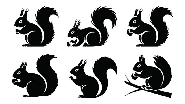 Collection of black squirrel silhouettes in various poses holding nuts minimalist vector icons with squirrel