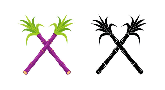Crossed Sugar Cane Stalks - Color and Silhouette Icons