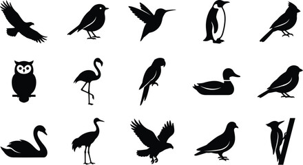 Black silhouettes of various birds, including penguins, swans, ducks, and owls, on white background © hr graphics