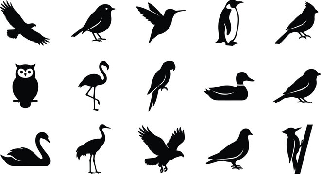 Black silhouettes of various birds, including penguins, swans, ducks, and owls, on white background