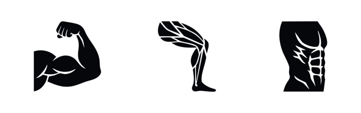 Black and white silhouette icons representing muscular strength, featuring a flexed bicep, defined leg muscles, and abdominal six-pack.