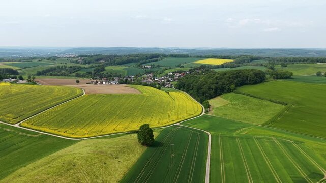 Aerial view of green farmland and rolling hills