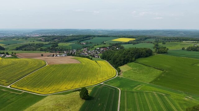 Aerial view of green farmland and blooming rapeseed fields