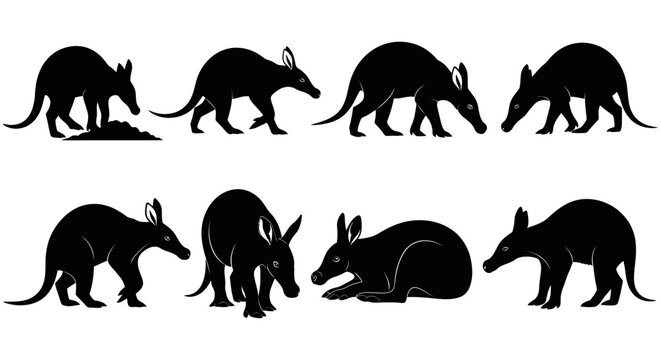 Several armadillo silhouettes walk and interact in various positions on plain background
