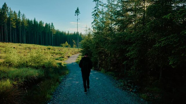 Traveller walking through forest trail in sunny weather. Backpacker strolling along gravel path between trees and open field under clear sky. Person moving down peaceful woodland road with morning
