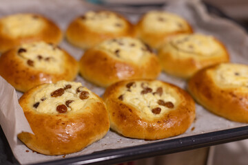 Fototapeta premium Freshly baked buns with sweet cottage cheese on the oven tray. Closeup, selective focus