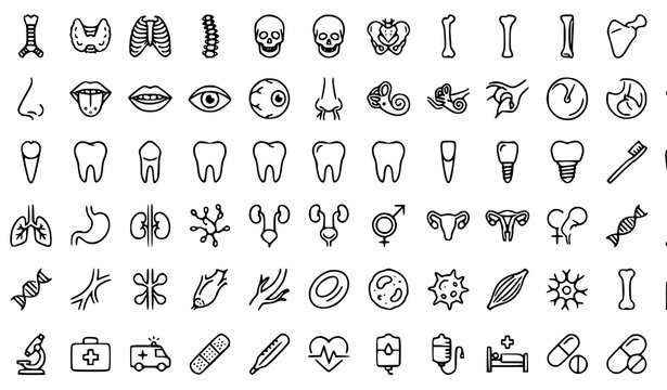 hand drawn alphabet