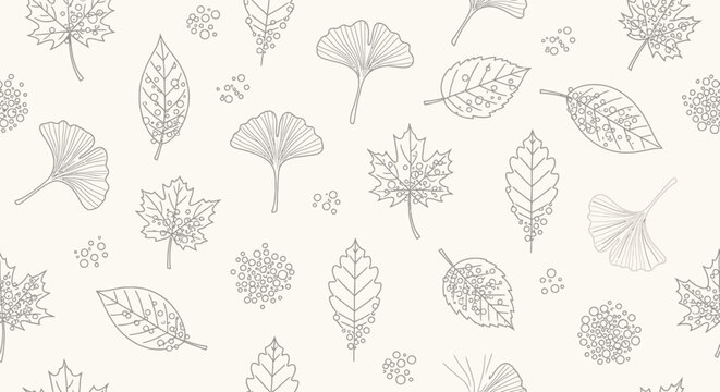Variety of leaves on a background.