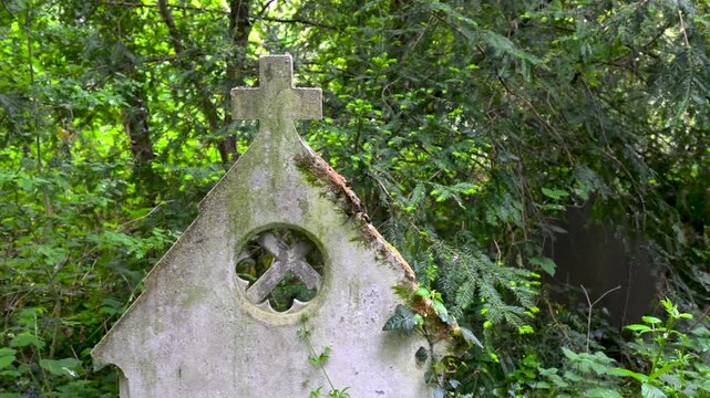 A scenic view of the stone wall and historic boundary near Rock Lane at Barnes Old Cemetery, where nature and heritage meet in a tranquil setting