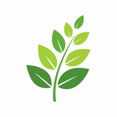 Fototapeta premium Green Leafy Branch Icon