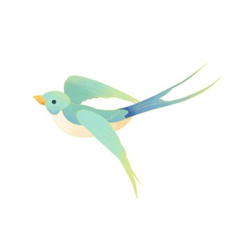 bird of paradise, flying bird cartoon animation, Motion graphic animation of blue bird flying with green screen, Animated bird flying on a green screen Child Like Draw of a Bird Animation Isolated Gre
