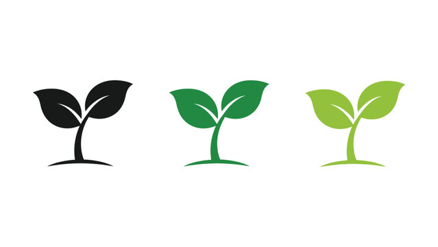 Green plant sprouts icon set representing growth nature and new life with eco friendly seedling environment isolated