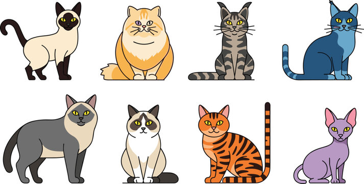 Cartoon Cat Icon Set with Sphynx, Maine Coon, Siamese, Tiger, and Tabby Breeds for Pet and Animal Illustrations