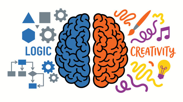 Human Brain Hemispheres Logic Creativity
