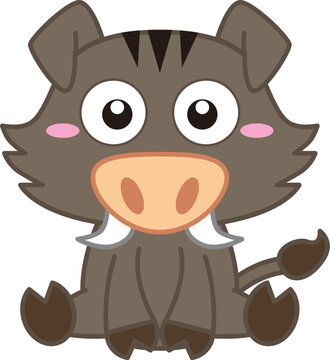 cute wild boar