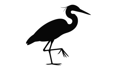 Naklejka premium black crowned crane