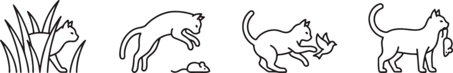 Obraz premium Domestic cat hunting sequence showing stalking pouncing and catching prey