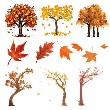 A set autumn tree 