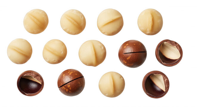 Collection of raw macadamia nuts, some whole and some halved, isolated on a solid black background, top-down view of shelled nuts