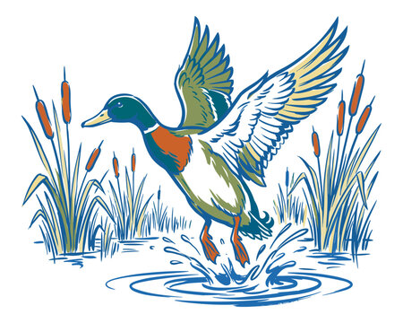 Wild nature adventure. Mallard duck vintage print design for t shirt poster sticker. Explore the wetlands waterfowl hunting club