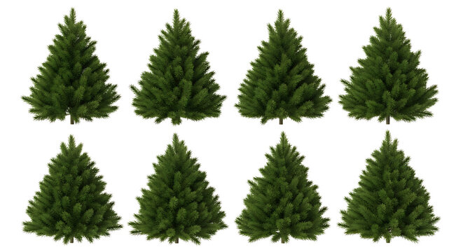 Collection of eight realistic 3D rendered evergreen pine trees with dark green needles and visible trunks, isolated on a transparent background